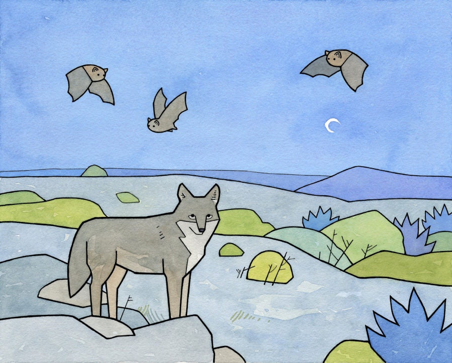 Coyote and Bats Art Print: