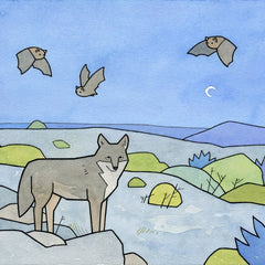 Coyote and Bats Art Print: