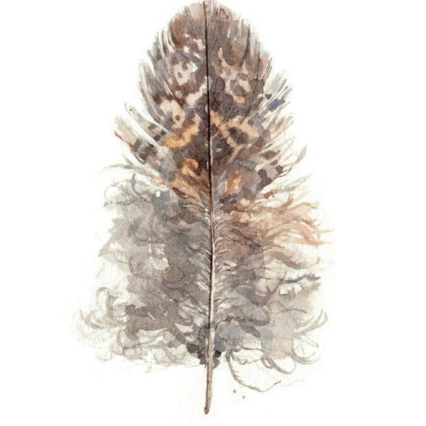 Owl Feather Print