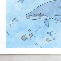 Humpback Whale Limited Edition Print