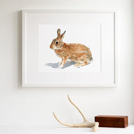 Wild Rabbit Print