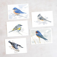 Bird Watercolor Card Set I