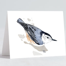 Bird Watercolor Card Set I