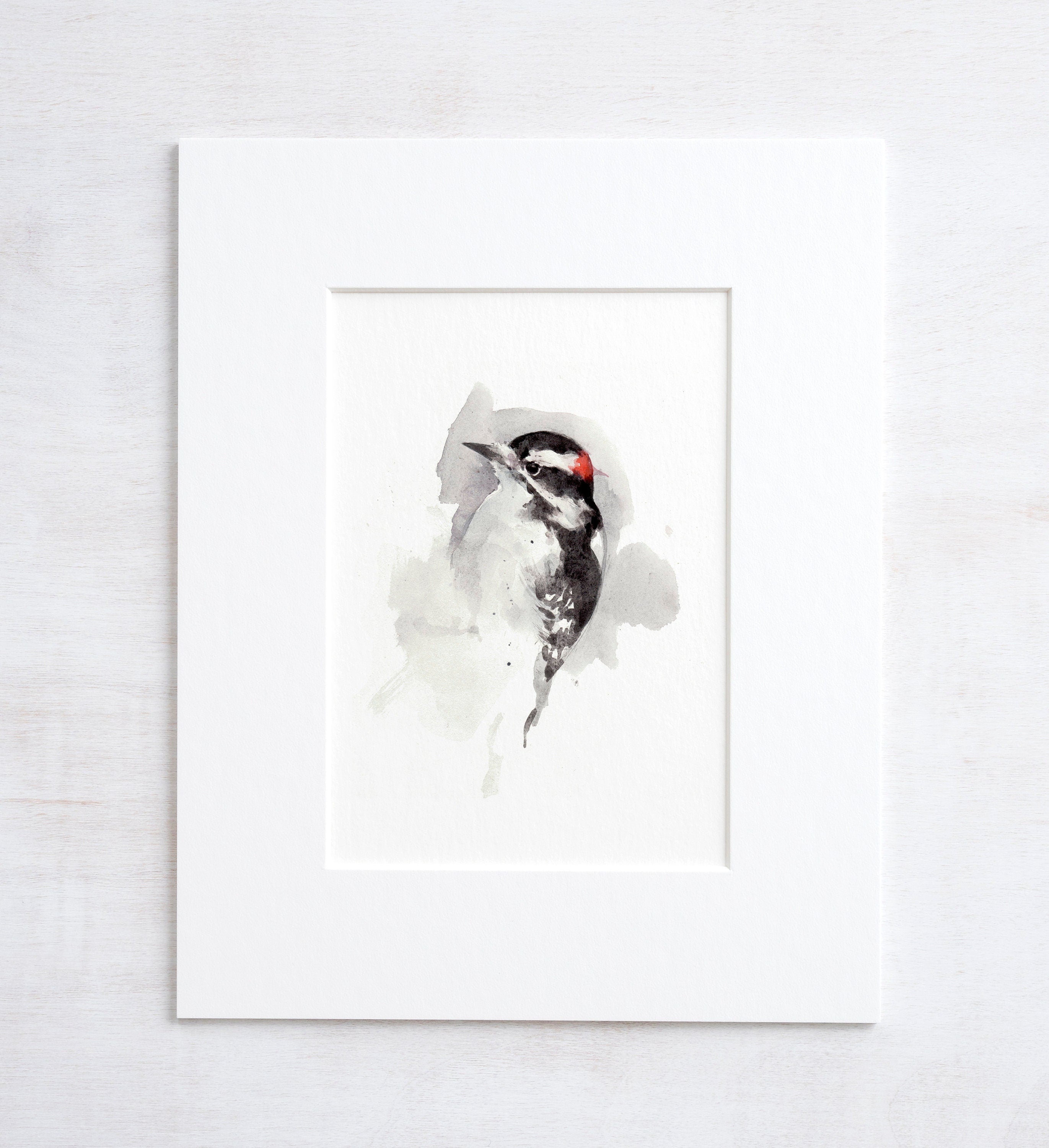 Downy Woodpecker Print