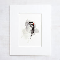 Downy Woodpecker Print
