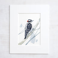 Downy Woodpecker Print