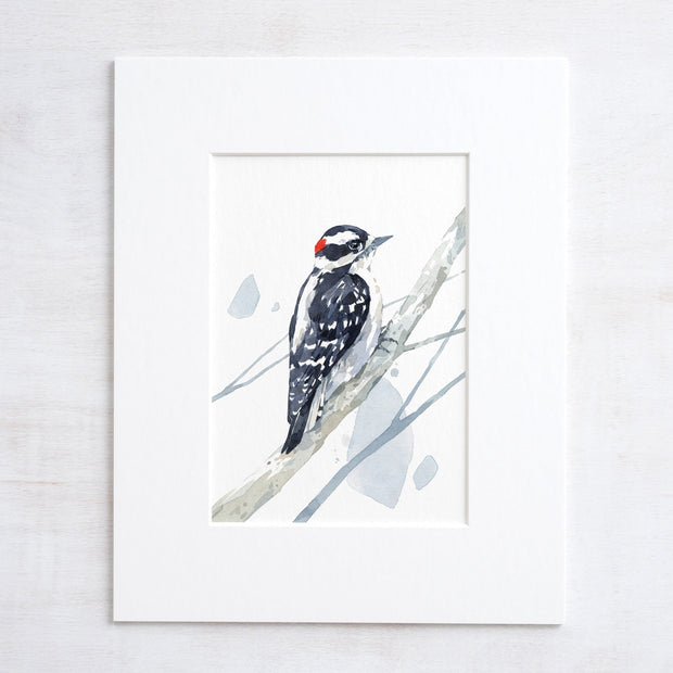 Downy Woodpecker Print