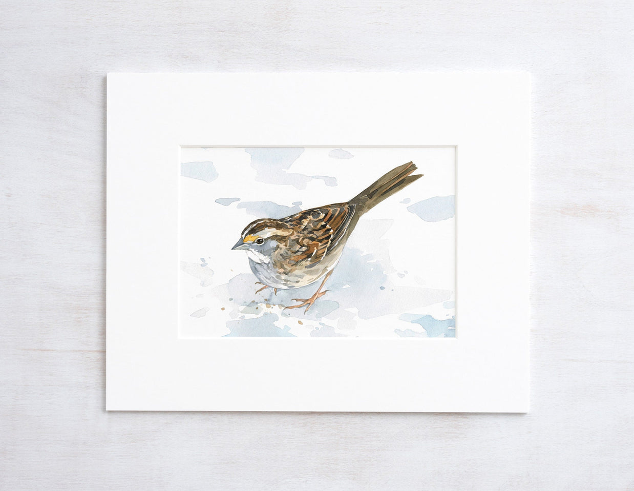 White-Throated Sparrow Print