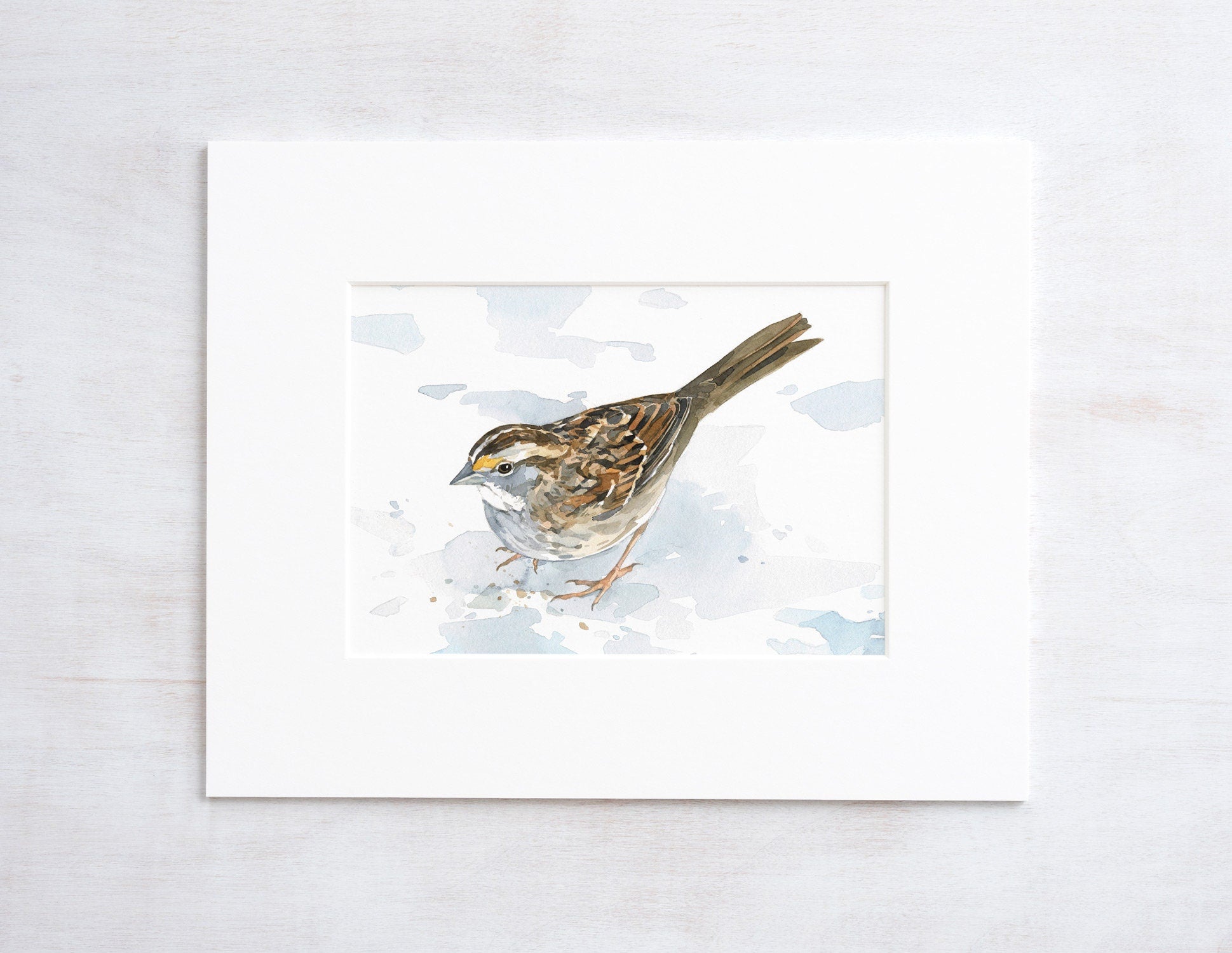 White-Throated Sparrow Print
