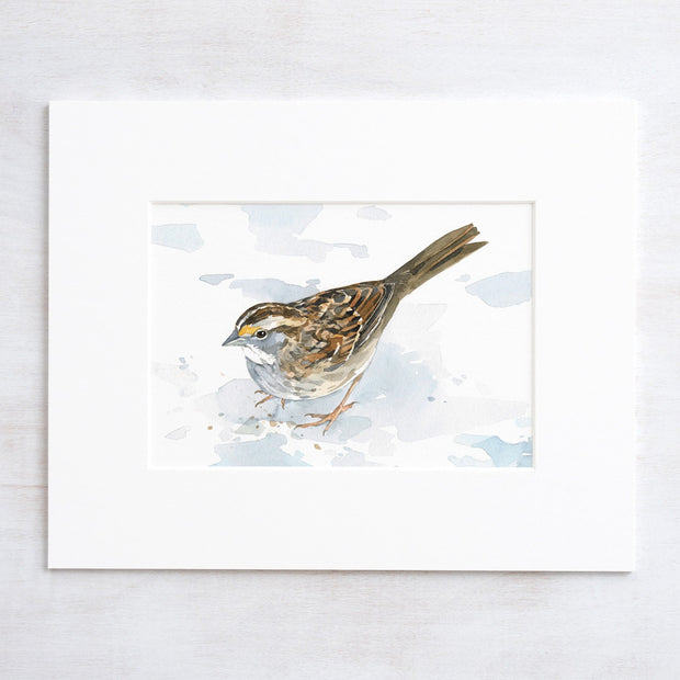 White-Throated Sparrow Print