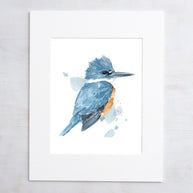 Belted Kingfisher Print