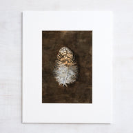 Owl Feather Print