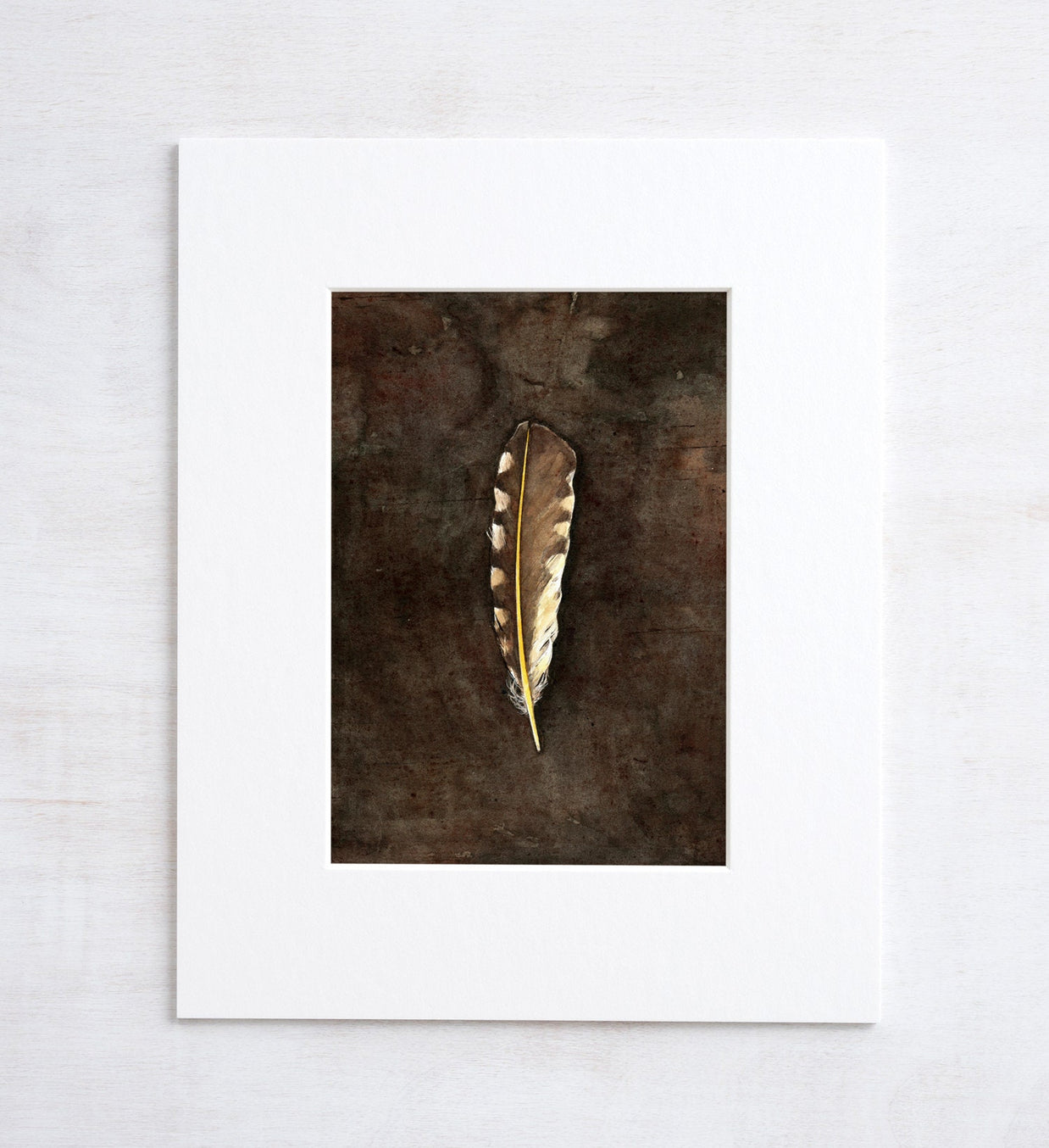 Northern Flicker Feather Watercolor Art Print