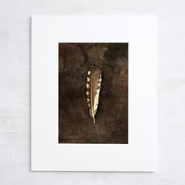 Northern Flicker Feather Watercolor Art Print