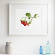 Strawberry Botanical Print