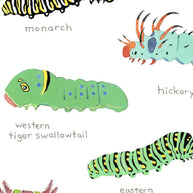 Caterpillars Art Print: Watercolor Nature Painting