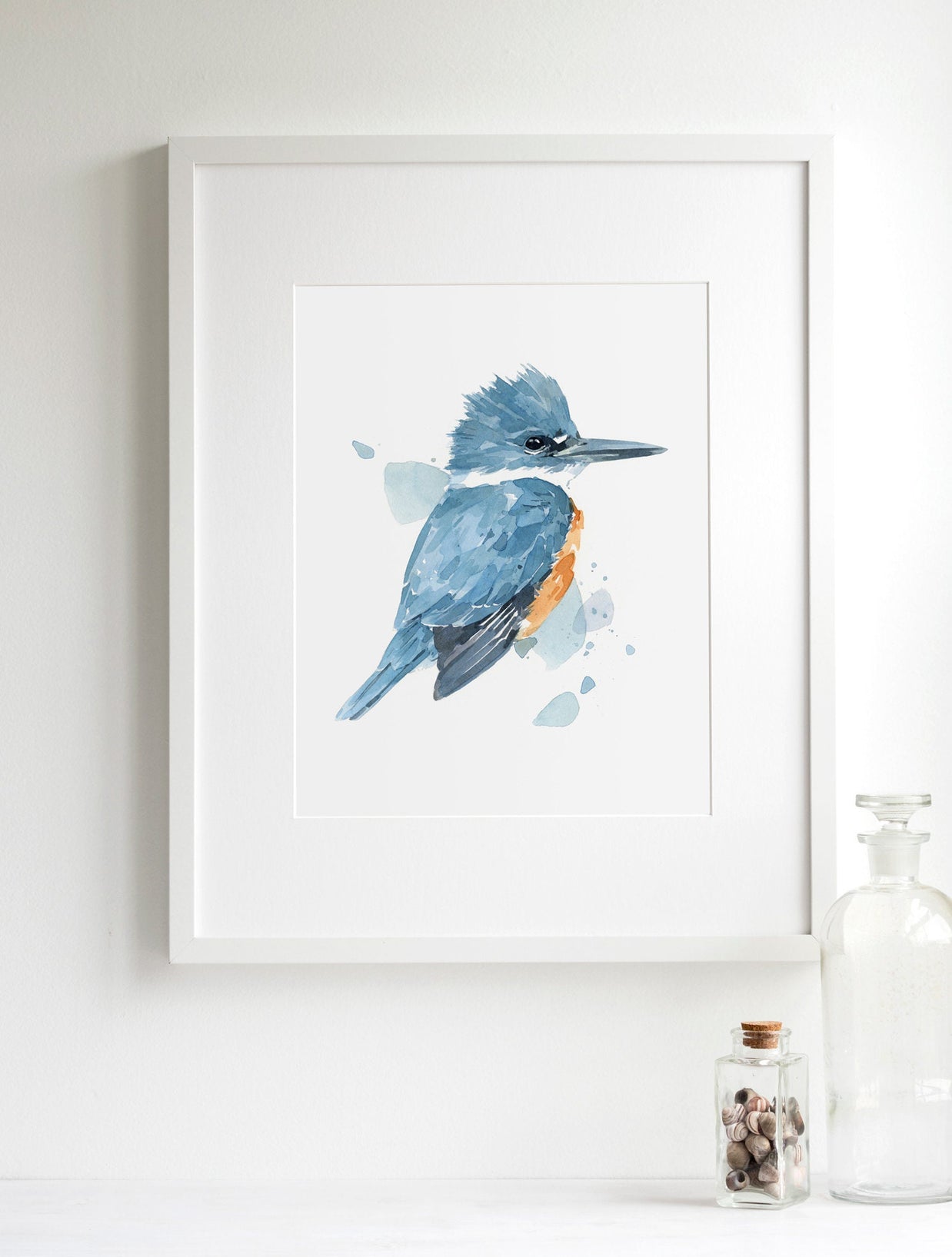 Belted Kingfisher Print