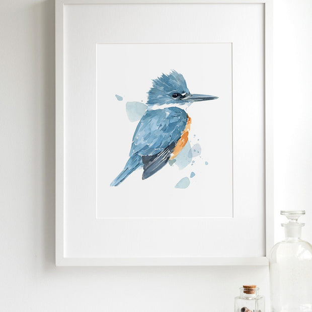 Belted Kingfisher Print