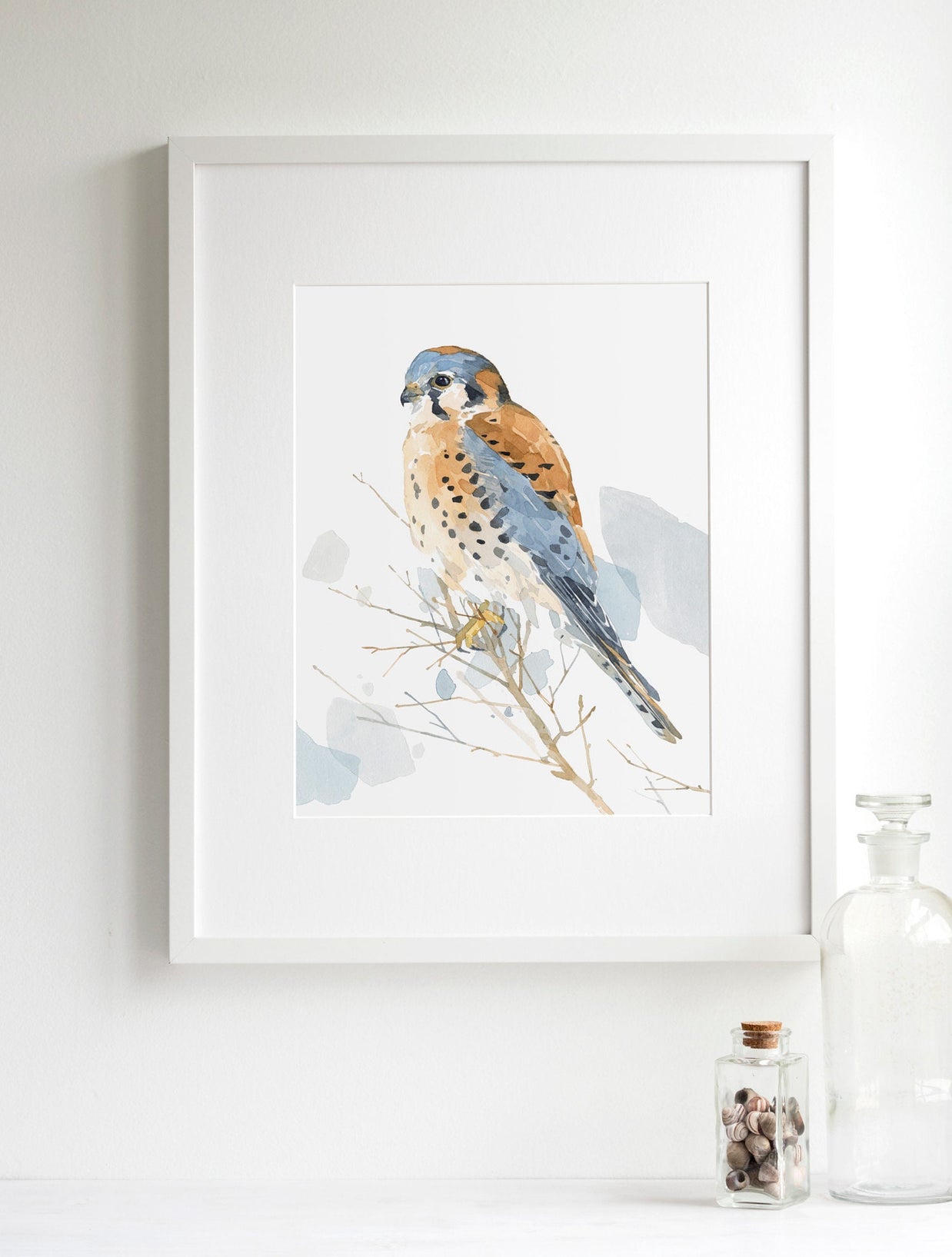 American Kestrel Print