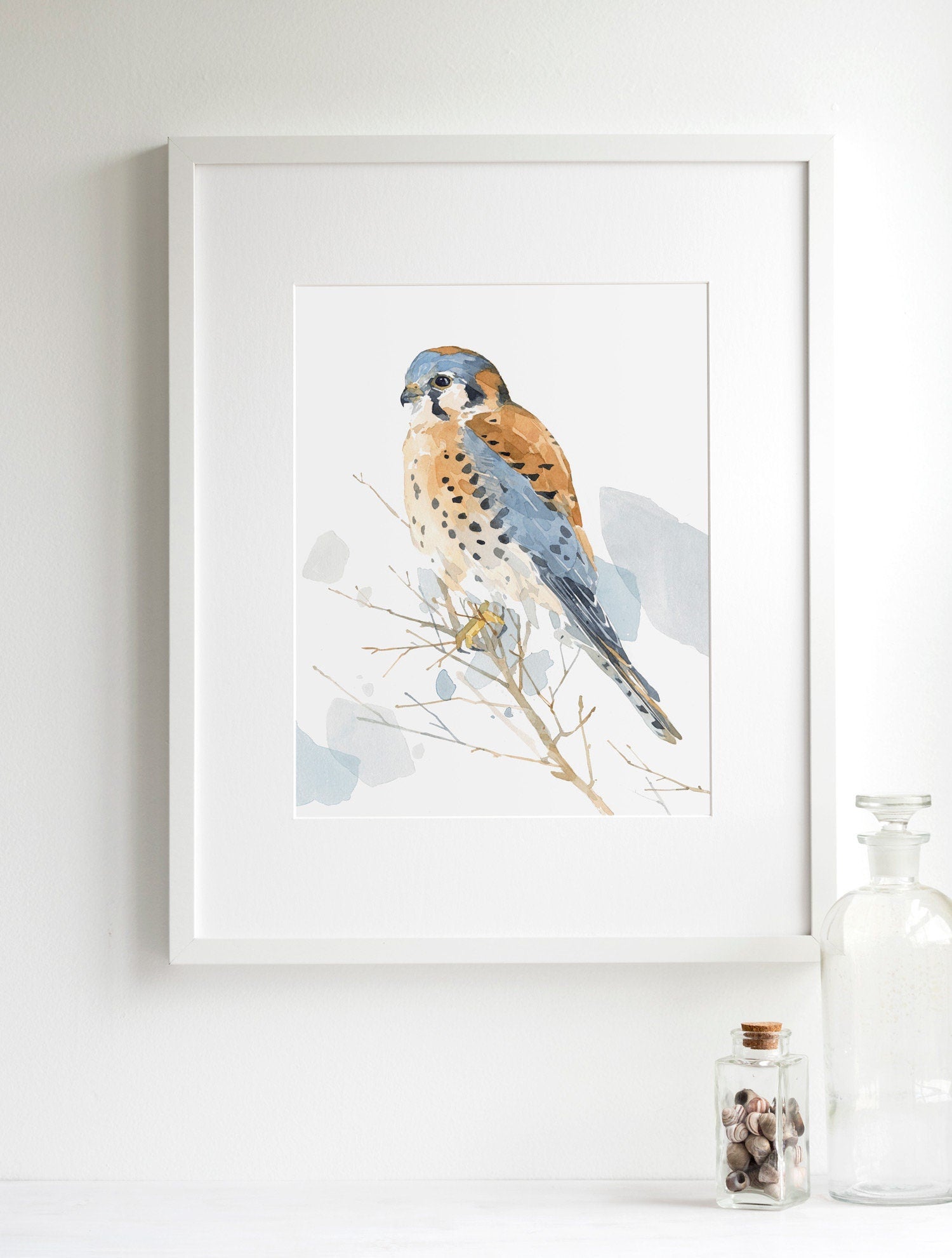 American Kestrel Print