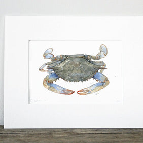 Blue Crab Watercolor Print