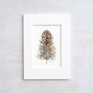 Owl Feather Print