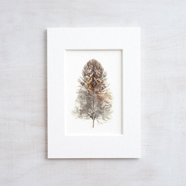 Owl Feather Print
