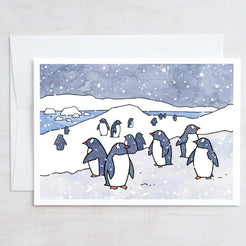 Gentoo Penguin Card Set