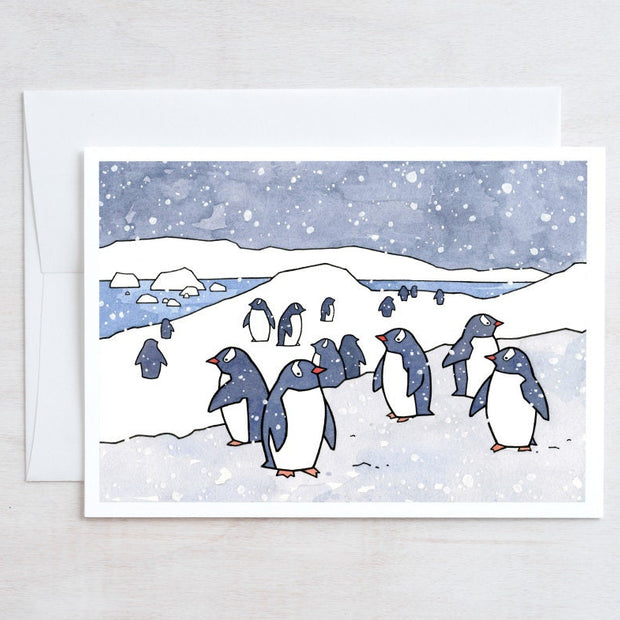 Gentoo Penguin Card Set