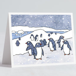 Gentoo Penguin Card Set