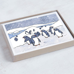 Gentoo Penguin Card Set