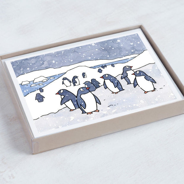 Gentoo Penguin Card Set