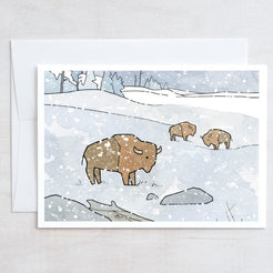 Bison in Snow Card Set
