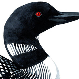 Loon Art Print