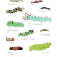 Caterpillars Art Print: Watercolor Nature Painting