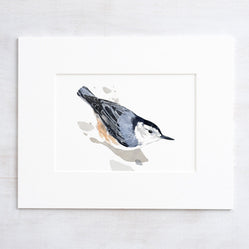 Nuthatch Print