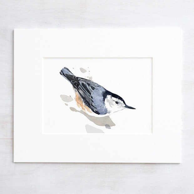 Nuthatch Print