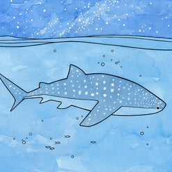 Whale Shark Print