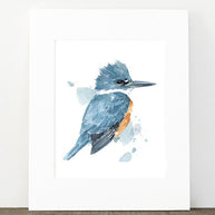Belted Kingfisher Print
