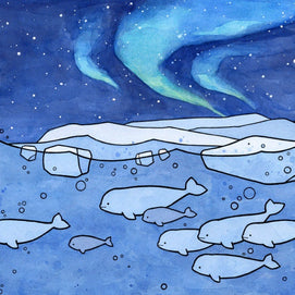 Belugas Arctic Northern Lights Holiday Card Set