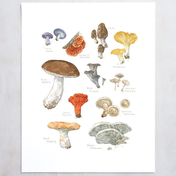 Edible Mushrooms Print