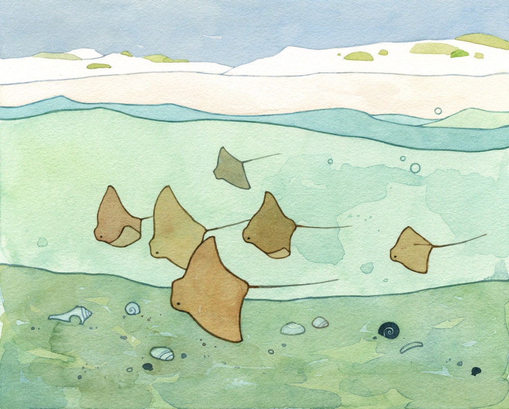 Cownose Stingray Print