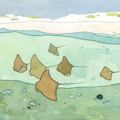 Cownose Stingray Print