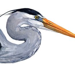 Great Blue Heron Print