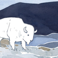 American White Bison Print