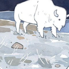 American White Bison Print