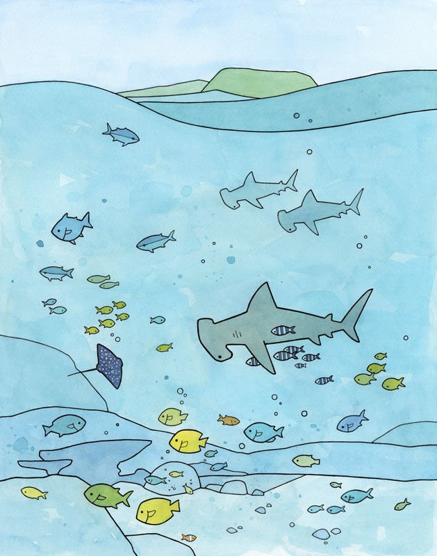 Hammerhead Shark Limited Edition Print