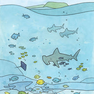 Hammerhead Shark Limited Edition Print