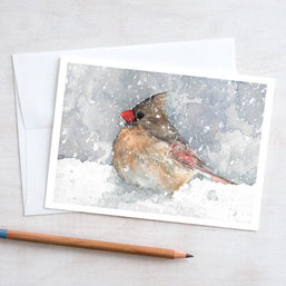 Winter Bird Holiday Card Set I