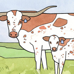 Longhorn Cows Print